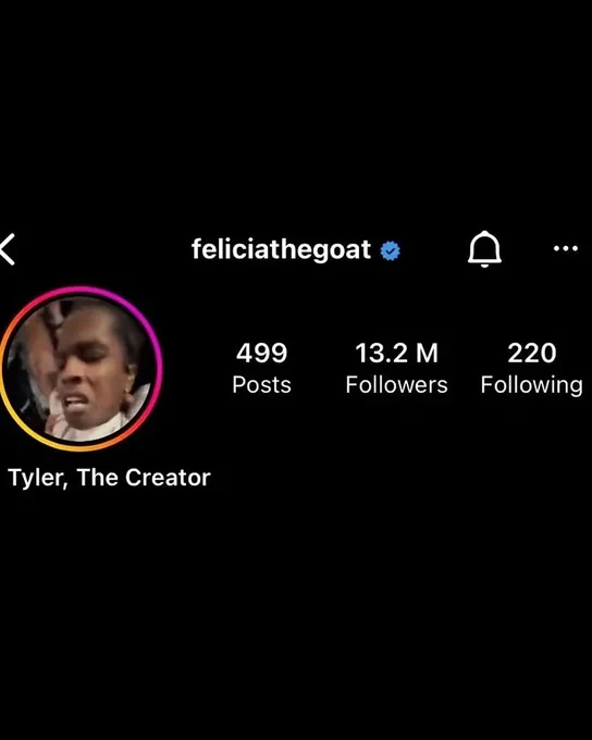 A screenshot of an Instagram profile showcasing the account name 'feliciathegoat', verified with a blue checkmark. The profile has 499 posts, 13.2 million followers, and follows 220 accounts. The display name is Tyler, The Creator.