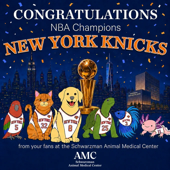The image features animated animals dressed in New York Knicks jerseys, celebrating the team's NBA championship win. A trophy is displayed prominently in the background, with a city skyline. The text congratulates the New York Knicks and mentions the Schwarzman Animal Medical Center.