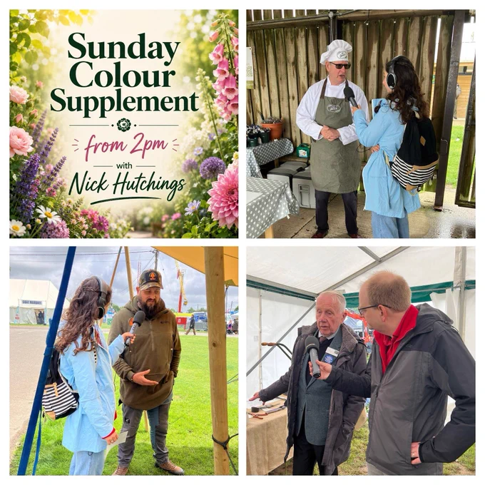 Square collage graphic made up of four panels. The top left panel is a floral Sunday Colour Supplement promotional graphic with the text “Sunday Colour Supplement from 2pm with Nick Hutchings” set against a colourful garden background. The top right shows a radio reporter interviewing a chef wearing a white hat and apron inside a rustic wooden stall. The bottom left shows a reporter conducting an interview with a bearded exhibitor at an outdoor event. The bottom right shows another radio interview taking place inside a marquee, with a presenter holding a microphone while speaking to an older gentleman. The collage highlights on-location reporting and community events featured on the programme.