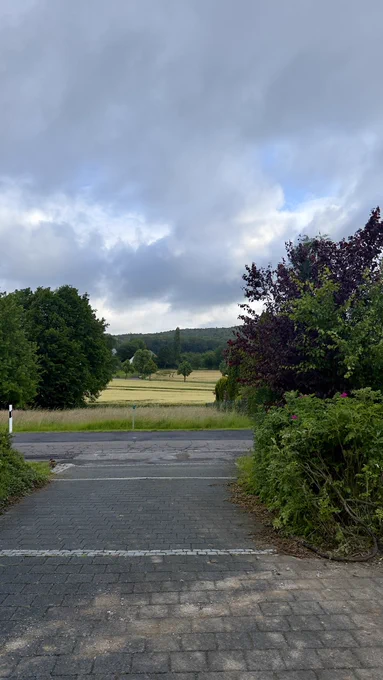 Ausblick gegen 7:00 Uhr