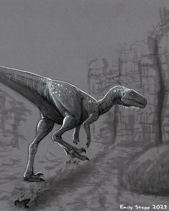 Vespersaurus