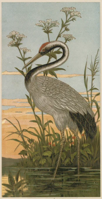 Art Nouveau-style chromolithograph of a crane standing in shallow water among reeds and flowering plants. The bird’s long neck curves gracefully as it gazes downward, its grey plumage highlighted with black markings and a red crown. Soft blue water, pale golden reflections and delicate white flower heads create a tranquil decorative scene.