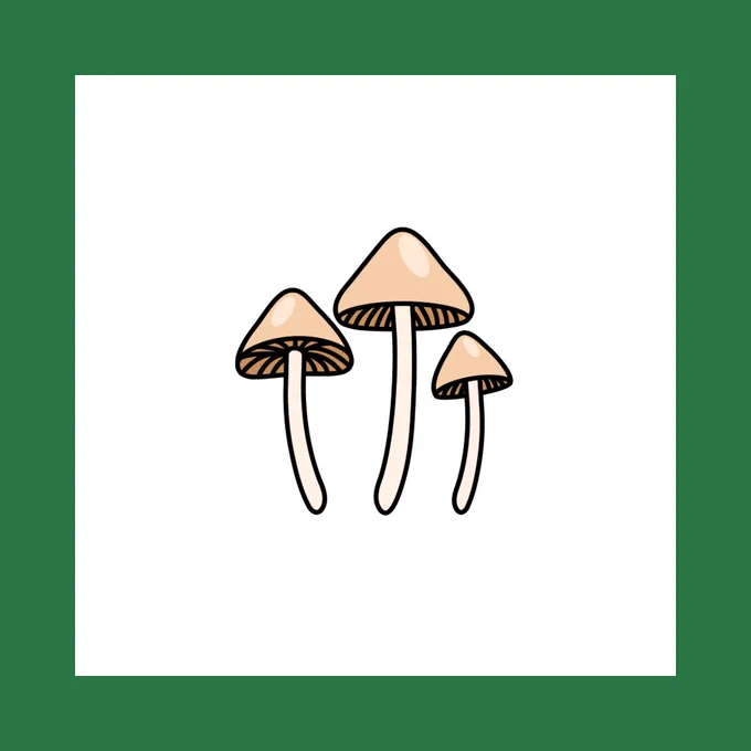 Psilocybin mushrooms