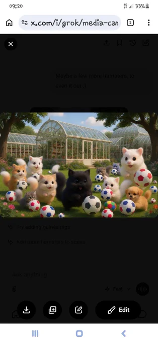 Hamster, Kitties and Doggie are practising their soccer skills in the Greenhouse Library garden.