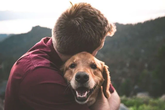 The same biological signals that help predict lifespan in humans also appear in dogs, according to new research from the Dog Aging Project—a finding that could help scientists better understand aging in both species.