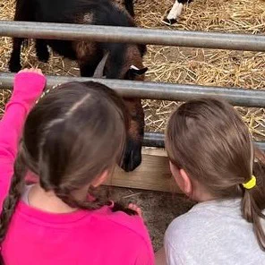 Two young children looking at goats