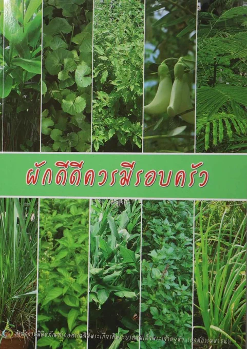 ผักดีดีควรมีรอบครัว อีบุ๊ค องค์ความรู้ #พิพิธภัณฑ์การเกษตรฯ ดู https://wisdomking.or.th/views/e-book/ หรือดูปกทั้งหมดที่ https://elibrary.wisdomking.or.th/ebook/all สอบถามหนังสือได้ที่ ร้านกิน อยู่ ดี โทร. 081-567-2806