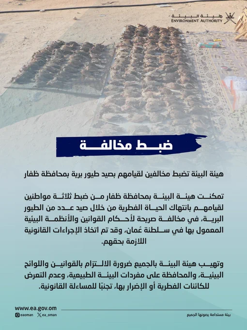 تصميم يحتوي النص التالي:

هيئة البيئة تضبط مخالفين لقيامهم بصيد طيور برية بمحافظة ظفار

تمكنت هيئة البيئة بمحافظة ظفار من ضبط ثلاثة مواطنين لقيامهم بانتهاك الحياة الفطرية من خلال صيد عدد من الطيور البرية، في مخالفة صريحة لأحكام القوانين والأنظمة البيئية المعمول بها في سلطنة عُمان، وقد تم اتخاذ الإجراءات القانونية اللازمة بحقهم.

وتهيب هيئة البيئة بالجميع ضرورة الالتزام بالقوانين واللوائح البيئية، والمحافظة على مفردات البيئة الطبيعية، وعدم التعرض للكائنات الفطرية أو الإضرار بها، تجنبًا للمساءلة القانونية.