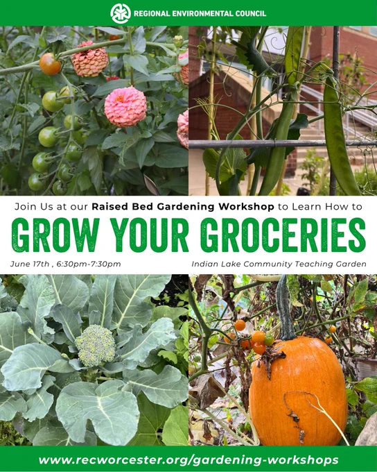 Join us at our Raised Bed Gardening Workshop to learn how to grow your groceries. June 17th, 6:30-7:30pm at the Indian Lake Community Teaching Garden. Learn more at www.recworcester.org/gardening-workshops