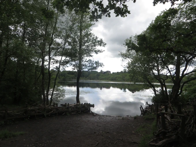 A loch framed by trees, with clouds reflected in the water and a castle on the horizon