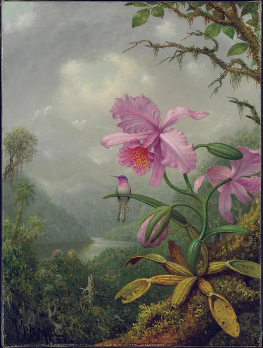 Martin Johnson Heade
