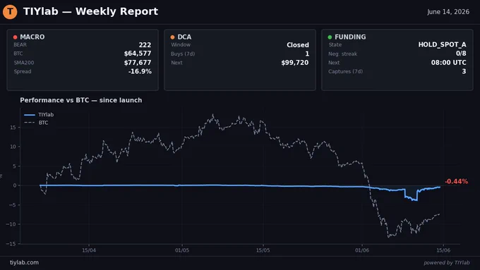 TIYlab weekly dashboard, BEAR regime, BTC $64,577, spread -16.9%