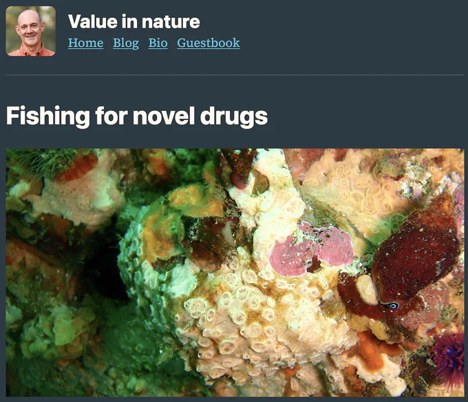 Screenshot from post in 'Value in nature' blog, titled 'Fishing for novel drugs', above a picture of a sponge-encrusted marine rock.