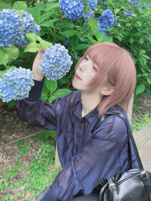 紫陽花ってそんなイメージ。だから好き。