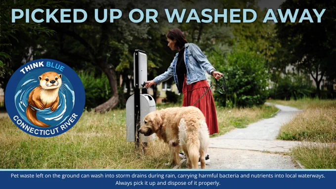 Person walking a dog disposes of a pet waste bag in a waste station along a path. The graphic reminds residents that pet waste can wash into storm drains and waterways if not picked up and disposed of properly. The Think Blue Connecticut River logo is displayed.