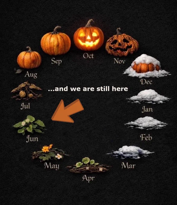 Grafica circolare su sfondo nero ruvido che mostra il ciclo annuale di una zucca, associato ai mesi. Da aprile a giugno crescono germogli e piantine con piccoli fiori bianchi e gialli. A luglio compaiono foglie secche. Da agosto a novembre le zucche maturano, diventando arancioni, poi una lanterna di Halloween illuminata a ottobre e infine una zucca marcia a novembre. Da dicembre a marzo il ciclo si chiude con cumuli di neve bianca. Una grande freccia arancione indica la piantina verde di giugno. Al centro spicca la scritta in bianco "...and we are still here".