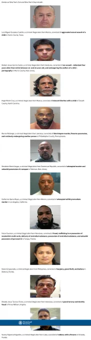 https://www.dhs.gov/news/2026/01/02/ice-rings-2026-more-arrests-worst-worst-criminal-illegal-aliens-including