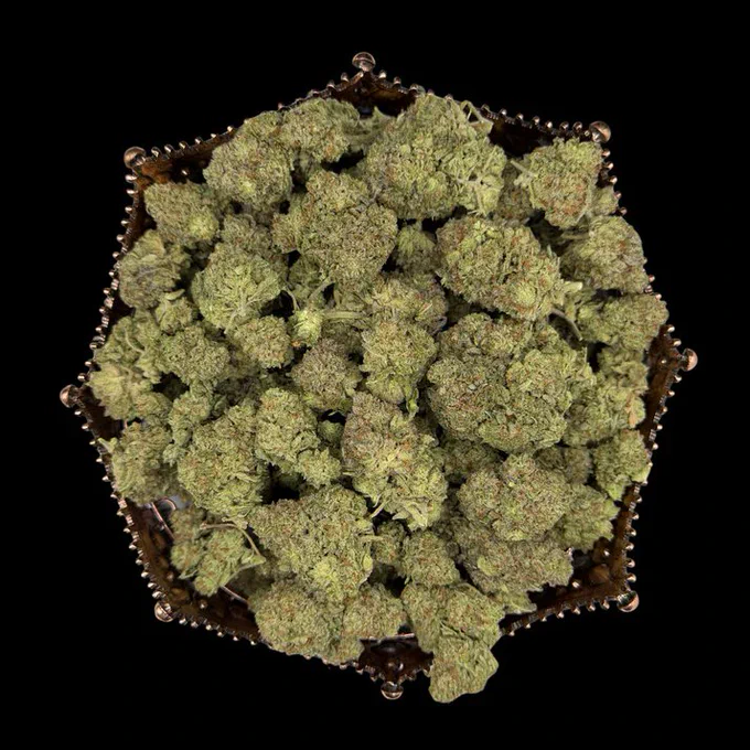 Goat Milk Indoor THCA
