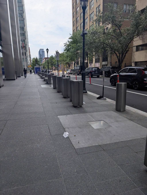 All of the tree pits (5 pictured, 2 behind me) outside the hotel are empty after they were allowed to die, with metal plates covering them.