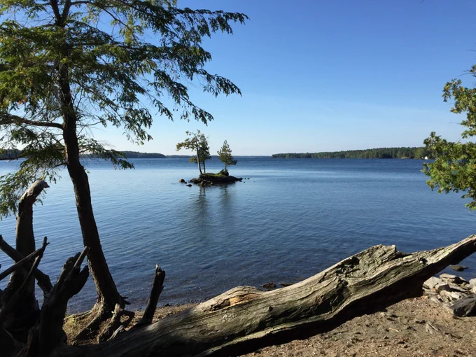 Landscape featuring a large lake with a very small island. The sky is blue and there is a tree in the foreground along with some driftwood.