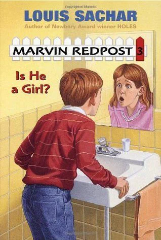 Image of Louis Sachar’s book “Is He a Girl?” with an image of a masc child staring into a bathroom mirror and seeing a shocked femme child