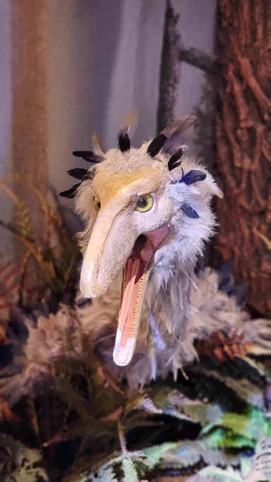 Bird-like feathered dinosaur display.