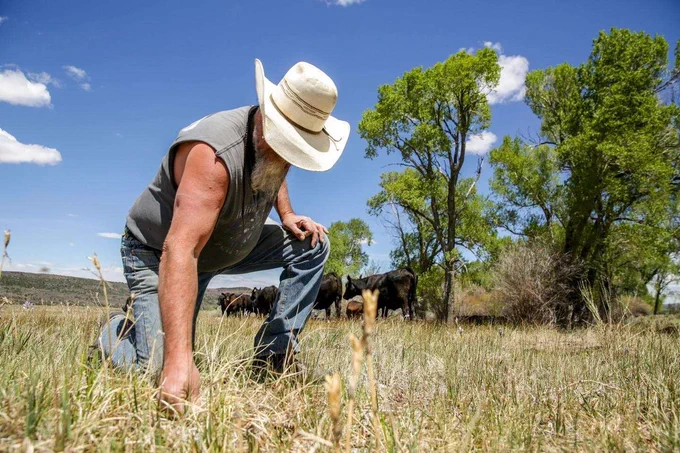 As drought deepens, a Colorado ranching family prays for rain