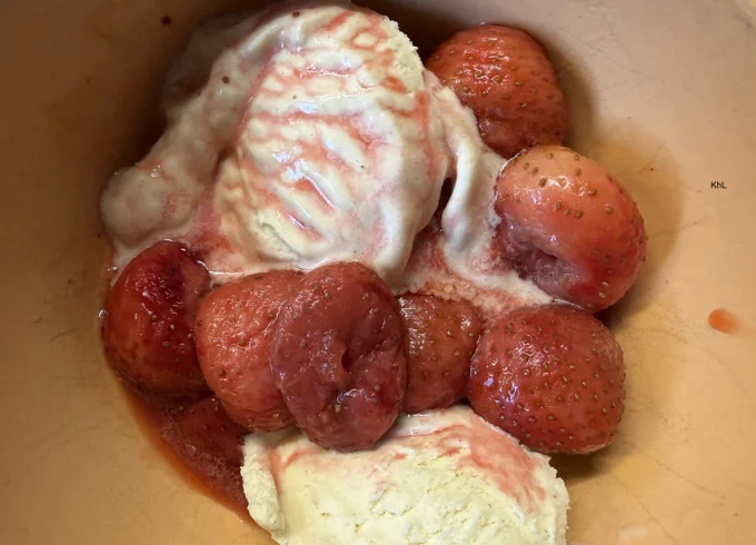 Kleine Schüssel mit Vanilleeis und Erdbeeren.