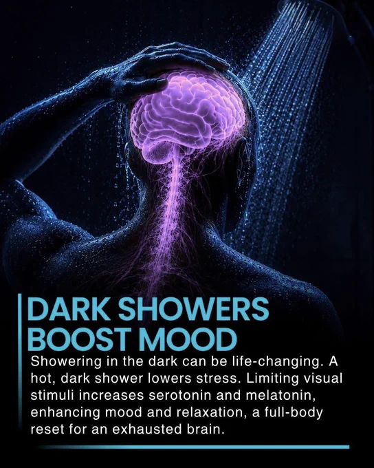 THE 5-MINUTE NIGHTTIME TRICK MOST PEOPLE NEVER TRY

What if turning off the lights during your shower could help your mind slow down?

A warm shower in complete darkness removes distractions, creating a peaceful sensory break. Many people say it helps them relax, clear their thoughts, and prepare for a better night's sleep. Sometimes, the simplest habits have the biggest impact.

Would you dare try a dark shower tonight?

Source :
Sleep Foundation. (n.d.). *How light affects sleep*. Sleep Foundation.