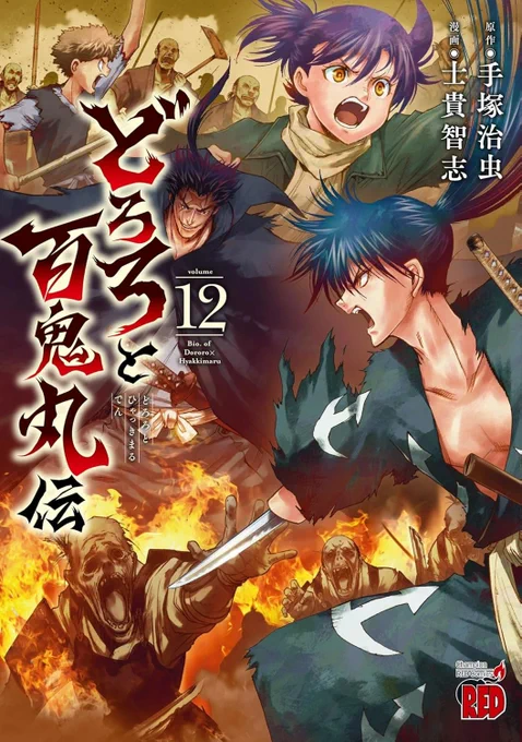 Couverture du tome 12 de Dororo to Hyakkimaru Den