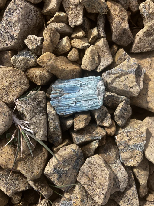 Serpentine debris typical of the Keen of Hamar habitat on Unst, Shetland © Jon Dunn
