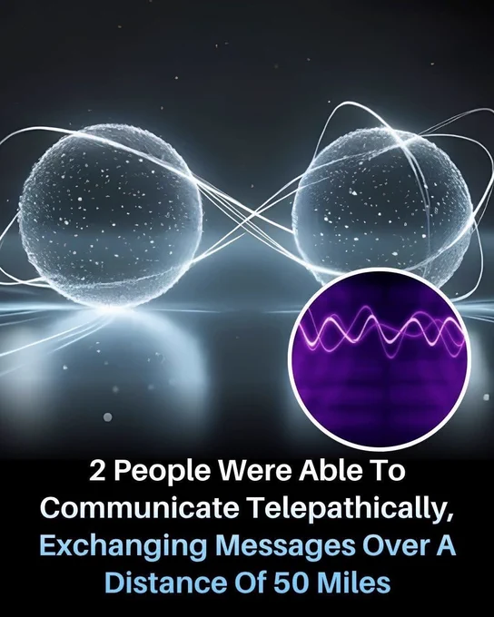 ⚡ They Sent a Thought 50 Miles Away... Without Speaking**

Imagine receiving a message with no phone, no internet, and no words.

Scientists successfully transmitted a simple message between two people separated by nearly 50 miles using brain-computer technology. One person's brain signals were recorded and sent directly to another person's brain, creating a real-life mind-to-mind connection.

Could this be the first step toward human telepathy? The possibilities are both exciting and mysterious.

Source:

Grau, C., Ginhoux, R., Riera, A., Nguyen, T. L., Chauvat, H., Berg, M., et al. *Conscious brain-to-brain communication in humans using non-invasive technologies*. PLoS ONE.