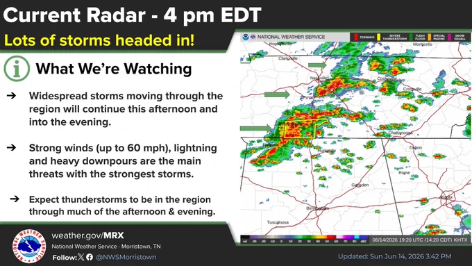 Showers and Thunderstorms