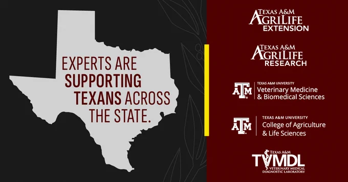 Texas-shaped graphic with text: "Experts are supporting Texans across the state." Logos on the right for Texas A&M AgriLife Extension, Texas A&M AgriLife Research, Texas A&M University College of Veterinary Medicine & Biomedical Sciences, Texas A&M University College of Agriculture & Life Sciences, and Texas A&M Veterinary Medical Diagnostic Laboratory. Dark background with decorative design.