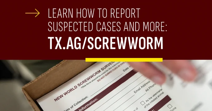 A close-up of a form titled "New World Screwworm Surveillance" inside a cardboard box. The background includes a website link: TX.AG/SCREWWORM, with the text urging to report suspected cases and more.
