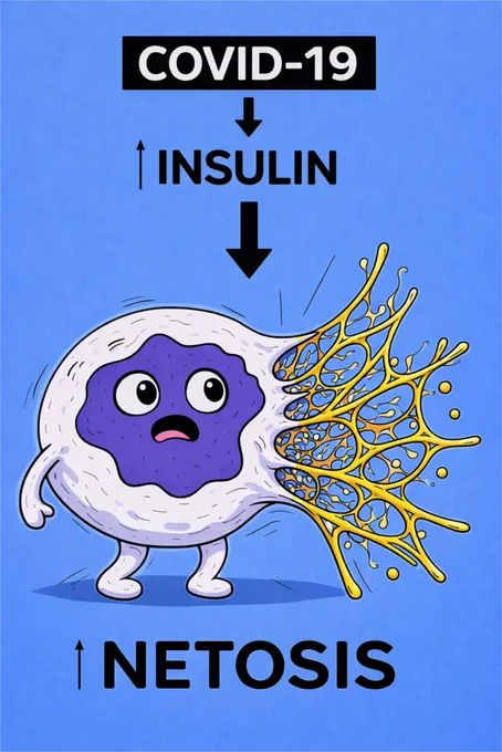 Graphical Abstract