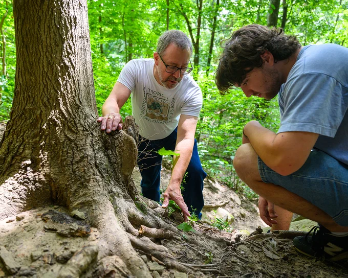 Two people are observing the base of a tree in a lush forest. One person is pointing at something near the tree roots, while the other crouches closely, looking intently. Bright green foliage surrounds them.