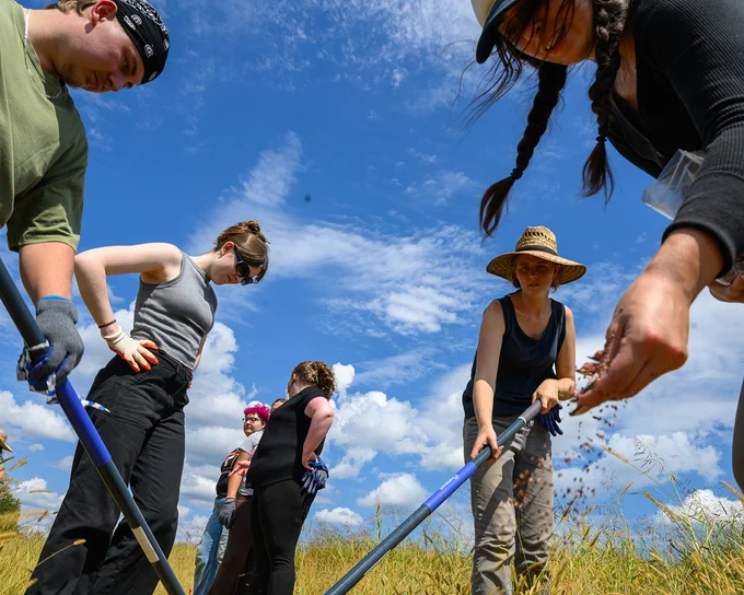 A group of people in a field are engaged in an outdoor activity under a bright blue sky with scattered clouds. They are using tools to examine or collect plants or soil. Some are wearing hats and protective gloves.