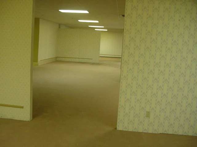 ORIGINAL PHOTO OF THE BACKROOMS.

THE TRUE LOBBY (LEVEL 0).