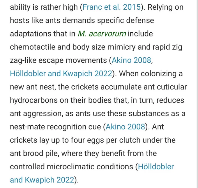 Relying on hosts like ants demands specific defense adaptations that in M. acervorum include chemotactile and body size mimicry and rapid zig zag-like escape movements (Akino 2008, Hölldobler and Kwapich 2022). When colonizing a new ant nest, the crickets accumulate ant cuticular hydrocarbons on their bodies that, in turn, reduces ant aggression, as ants use these substances as a nest-mate recognition cue (Akino 2008). Ant crickets lay up to four eggs per clutch under the ant brood pile, where they benefit from the controlled microclimatic conditions (Hölldobler and Kwapich 2022).