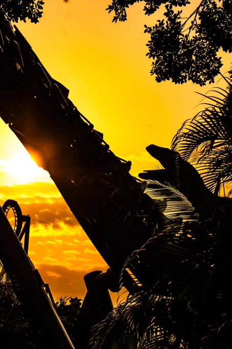 Photo of VelociCoaster at sunset.