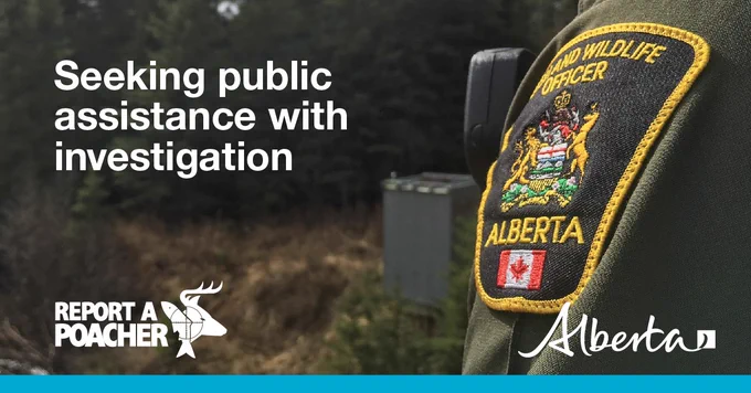 image depicts a fish and wildlife crest patch on the shoulder of an officer. Text reads Seeking public assistance with investigation with the white Report A Poacher and Alberta logos in the left and right corners, respectively.