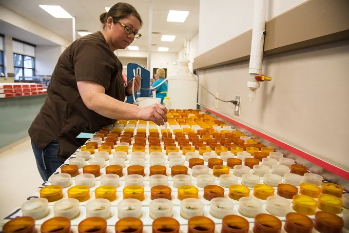Woman working soil samples