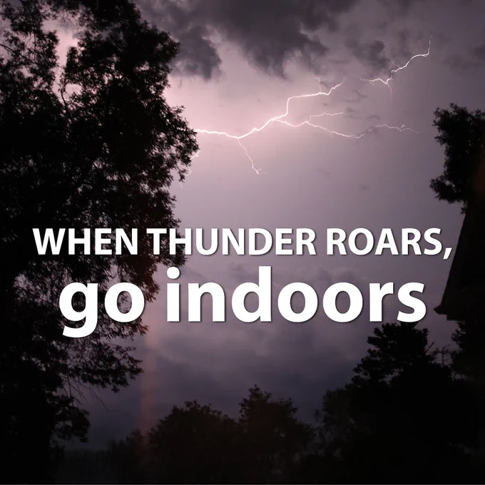 A nighttime scene with a bright flash of lightning illuminating the sky behind silhouetted trees. Text on the image reads, "When thunder roars, go indoors."