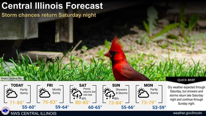 The slide titled "Central Illinois Forecast" shows the weather outlook for the region. It highlights that dry weather is expected through Saturday, with showers and storms returning late Saturday night and continuing through Sunday night. The forecast includes highs in the 70s and lower 80s, and lows in the 50s and 60s, for Today, Friday, Saturday, Sunday, and Monday, along with rain probability percentages. There is also a photo of a cardinal in a grassy area.