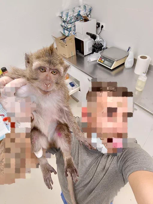 Trabajador de Camarney haciéndose un selfie con un macaco de cola larga.