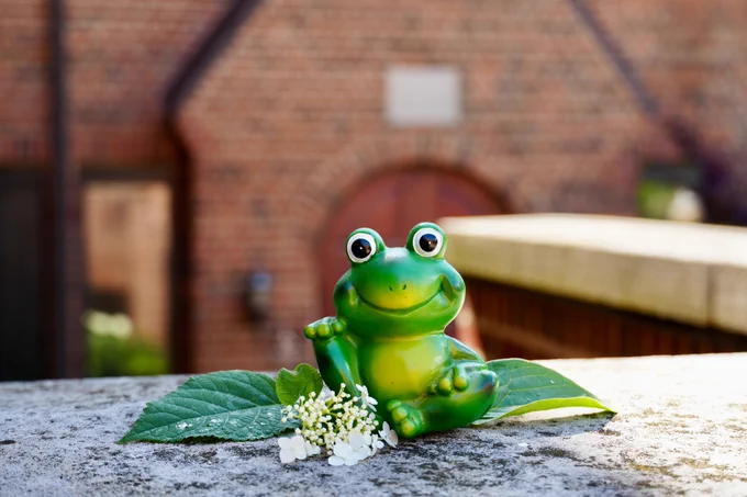 A small decorative frog smiles atop two leaves and white flowers outside the iSchool building.
