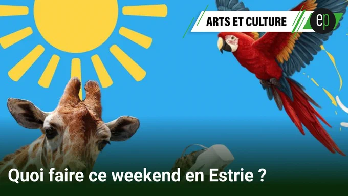 Catherine Blanchette présente les meilleures #ActivitésduWeekend en #Estrie pour le premier week-end officiel de l'été incluant le #RodéoBedford 100% western, #CéramiqueàWaysMills avec trentaine de céramistes, #ForestalsLumina sentier nocturne magique à la #GorgedeCoaticook, #InternationaldaltelagesBromont plus important concours du Canada, #FestivaldesvinsdelaBromont avec vignerons et dégustations, lancement de saison au #MuséedelaNatureetdesSciences, #LopéraentredeuxVoix concert lyrique, #MarilyyConcertGratuit au parc, #NatureetCréation sculptures à ciel ouvert à #Dunham, des activités pour tous les goûts et familles en #Estrie, #Sherbrooke, #Bromont, #Coaticook et la région.
