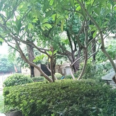 @baihe777sm profile picture