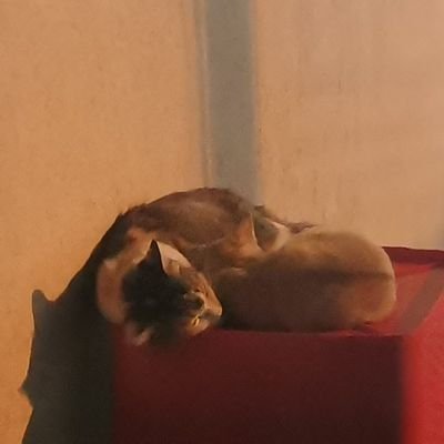 @scmg999 profile picture